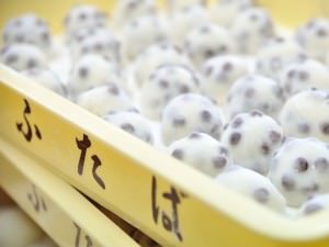 出町ふたば 豆大福の美味しさの秘密はどこに 人気の4つの理由 三越伊勢丹オンラインストア 公式