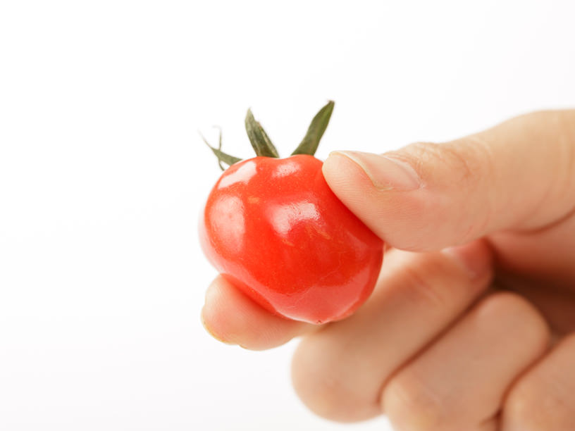 トマトなのにぷにぷにしてる!? 新品種「プチぷよ」が気になる！ | 三越伊勢丹の食メディア | FOODIE（フーディー）