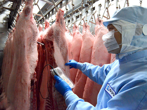 厳選した豚肉を熟成庫で熟成させ、温度を管理している様子