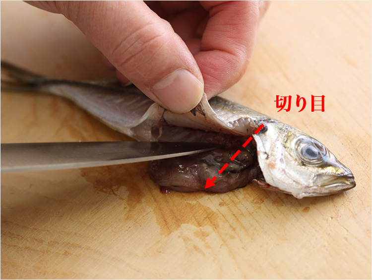 内臓を取り出すイメージ