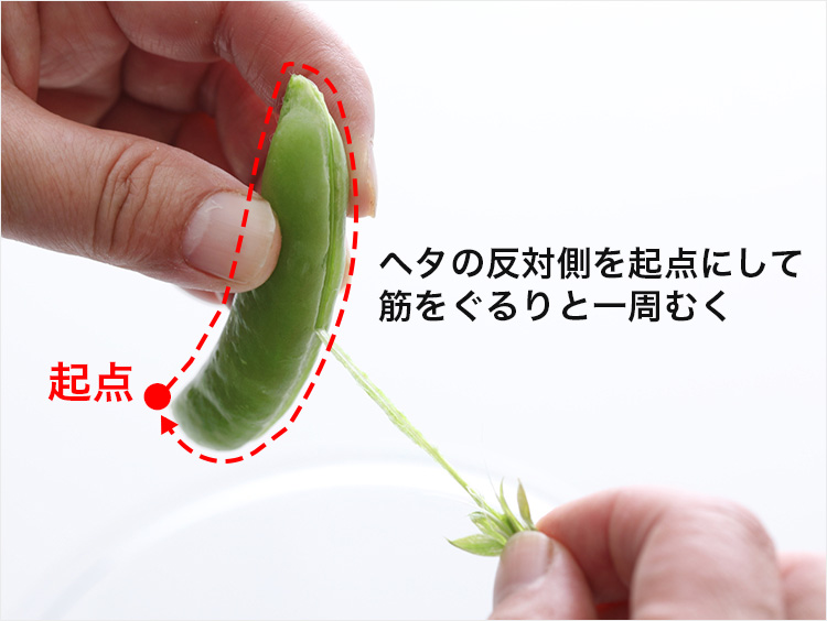 筋の取り方のイメージ