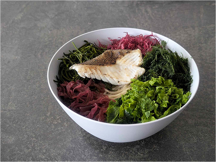 ＜シーベジタブル＞海藻と旬魚のラーメン