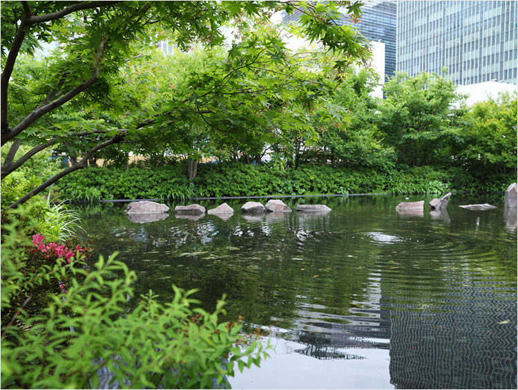 池のほとりから高層ビルが見える様子