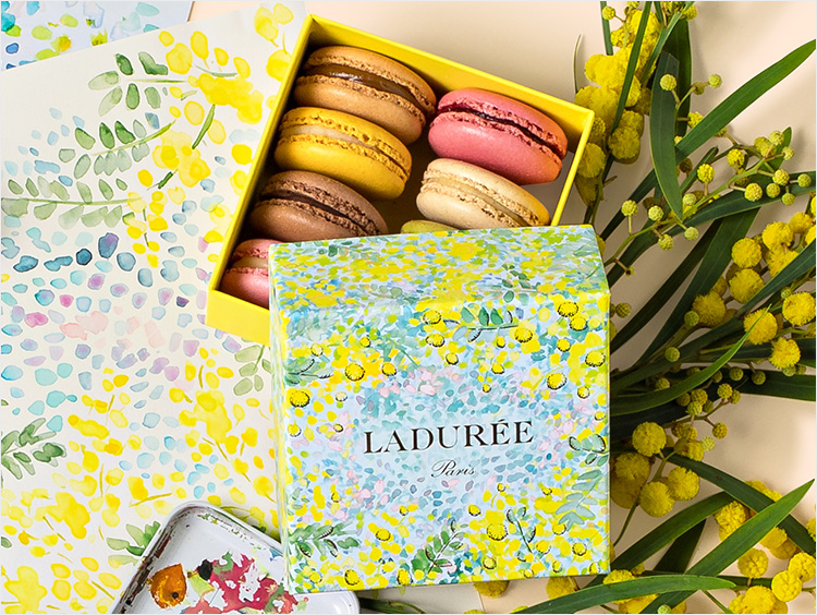 ＜ラデュレ＞銀座三越限定マカロンボックス「ミモザ」
