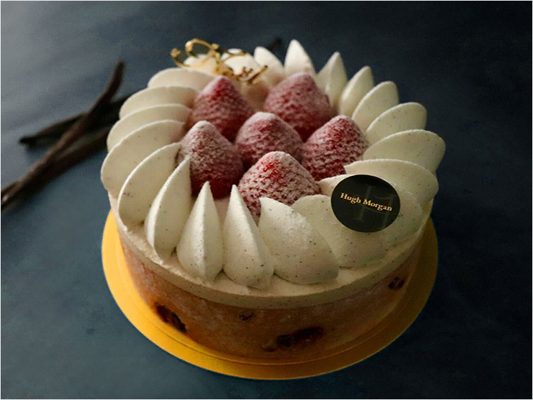 ＜ヒューモルガン＞ノエル・フレーズヴァニーユ