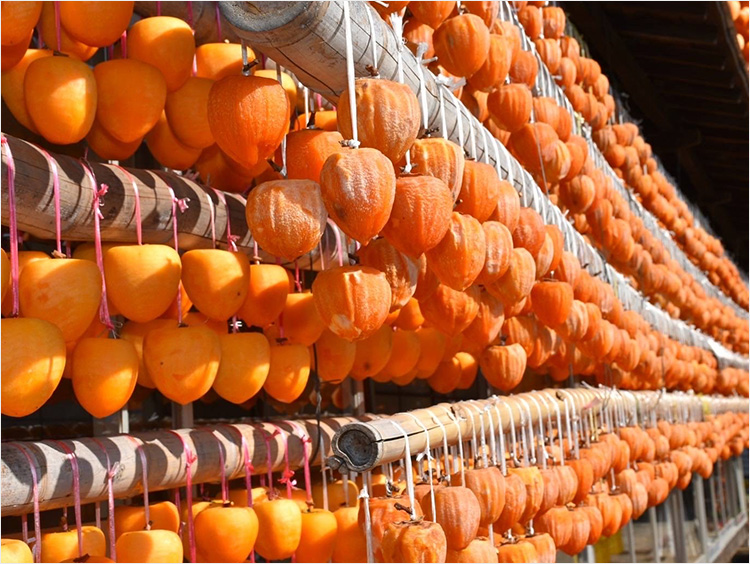 干し柿イメージ