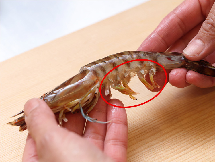 海老全体のイメージ