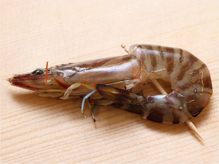 楊枝を刺したイメージ