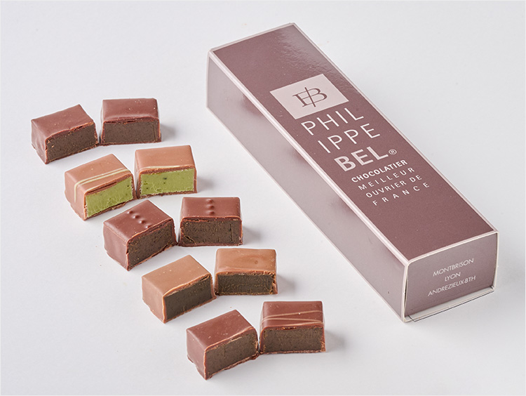 ＜フィリップ・ベル＞ボワット 5P テ