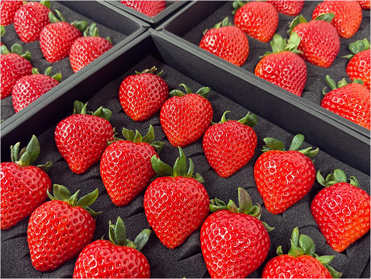 ＜久米原農園＞あまりん