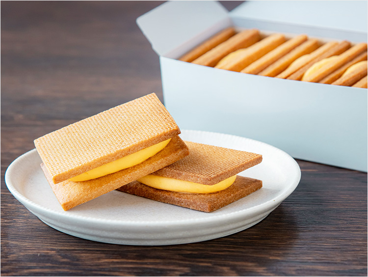 <ガスタ>ガトーバスク ガスタ クリュ