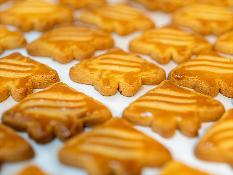 <Manta Frog ISHIGAKIJIMA COOKIE>バニラマンタサブレ