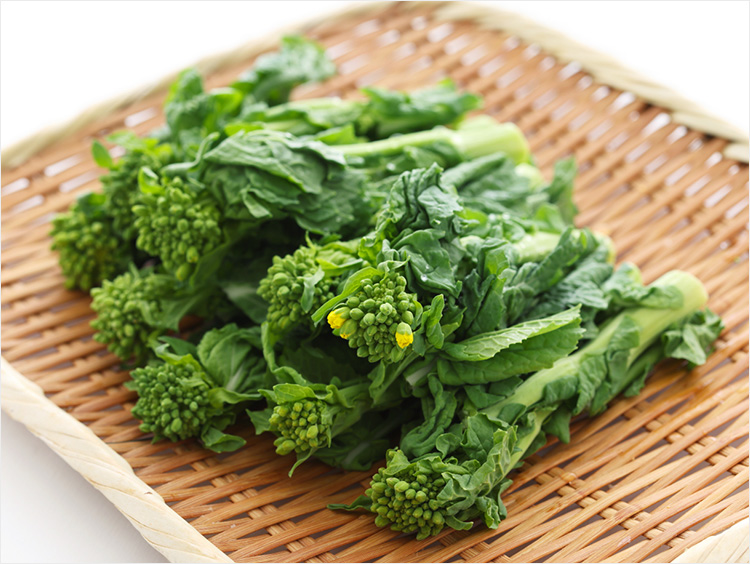 菜の花のイメージ