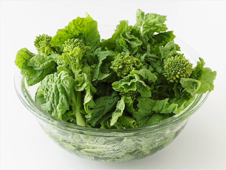 菜の花の水揚げ後のイメージ