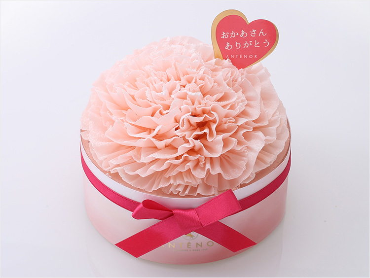 ＜アンテノール＞カーネーション