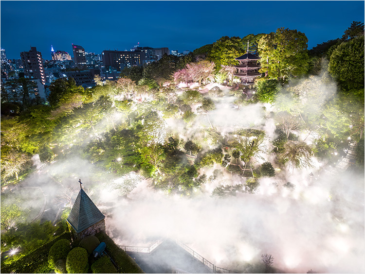 「八雲」のイメージ