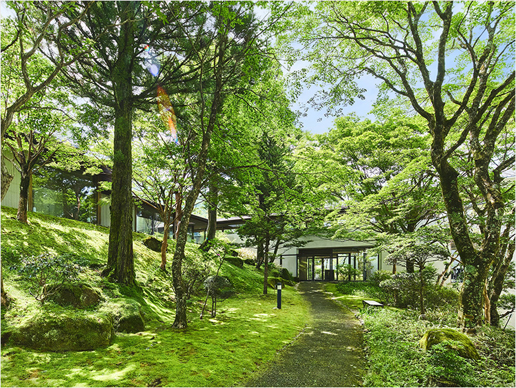 木陰の小径が続く涼しい中庭の風景